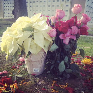 Screen Shot 2014-11-23 at 5.52.40 PM